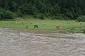 Karpaty+Krym 06.2007 096